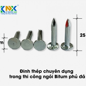 Đinh Thép Chuyên Dụng Thi Công Ngói Bitum Phủ Đá