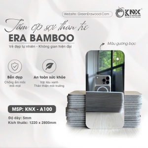 KNX - A100 – Gương bạc